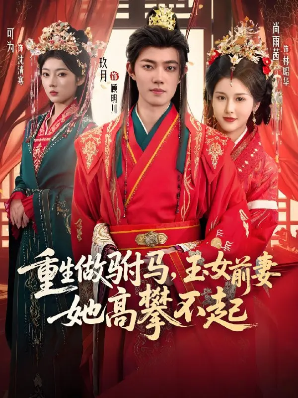 《重生做驸马，玉女前妻她高攀不起》：穿越逆袭成驸马，今非昔比的爱情故事！